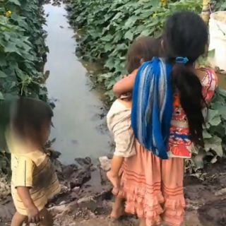 Rescatan a 40 menores jornaleros en Coahuila