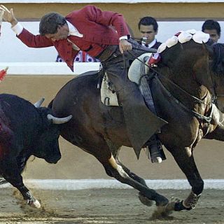 Muere 'Cagancho', el caballo de Pablo Hermoso de Mendoza