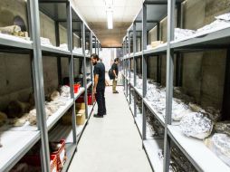 Se trata de más de mil 400 piezas registradas y una cantidad similar sin numerar. EL INFORMADOR / P. Franco