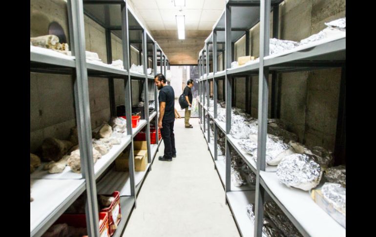 Se trata de más de mil 400 piezas registradas y una cantidad similar sin numerar. EL INFORMADOR / P. Franco