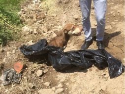 Personas que se encontraban en el lugar, interceptaron a los hombres que abandonaron al perro. ESPECIAL / Claudia Alejandra Plascencia