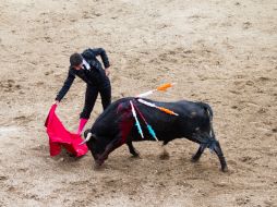 Al menos 250 jóvenes manifestaron su rechazo a las corridas de toros. EL INFORMADOR / ARCHIVO