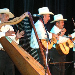 Arpa, instrumento de integración en pueblos indígenas