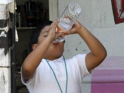 La ingesta de líquidos debe ser constante desde que amanece hasta poco antes de irse a dormir. NTX / ARCHIVO