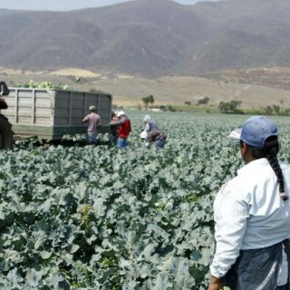 La CNDH solicita protección a niños rescatados en Coahuila