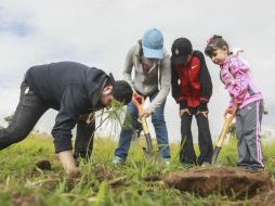 Participaron cerca de 180 personas y se donaron 15 árboles de cada especie. EL INFORMADOR / F. Atilano