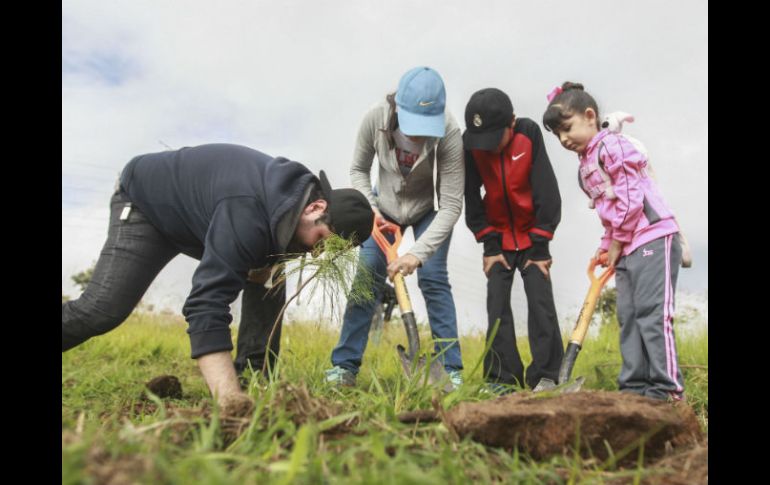 Participaron cerca de 180 personas y se donaron 15 árboles de cada especie. EL INFORMADOR / F. Atilano