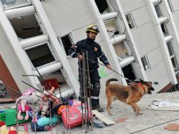 Chile es uno de los países más sísmicos del mundo. AFP / ARCHIVO