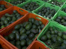 En Monterrey, el aguacate se vendió en 25 pesos el kilo. AP / ARCHIVO