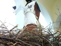 En Papúa Nueva Guinea han aumentado los últimos años los ataques contra personas acusadas de practicar la brujería. EL INFORMADOR / ARCHIVO