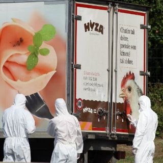 Policía halla cadáveres de migrantes en camión en Austria