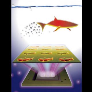 Crean microrobots inteligentes capaces de nadar en el cuerpo humano