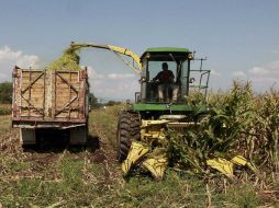 Se invita a los campesinos a aprovechar la explotación del suelo y subsuelo mexicano para permitir un avance en el país. EL INFORMADOR / ARCHIVO