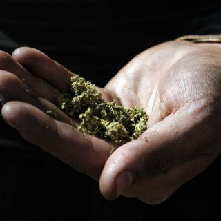 Fumar mariguana reduce producción de esperma