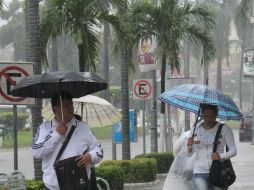 El titular de Protección Civil, señaló que atienden todos los reportes relacionados EFE / ARCHIVO