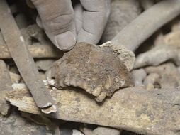 En el hallazgo se encontraron vasijas, puntas, petrograbados y huesos. EL INFORMADOR / ARCHIVO