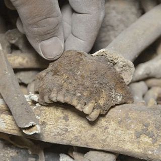 Descubren vestigios de zona arqueológica en Canatlán, Durango