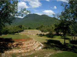 Sierra Gorda alberga variada vegetación y gran diversidad de especies de animales. EL INFORMADOR / ARCHIVO