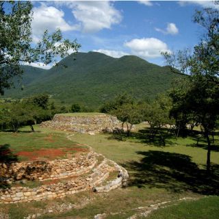 Diversidad de microclimas en Sierra Gorda de Querétaro