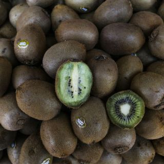 Mitos sobre formas de alimentación para adelgazar