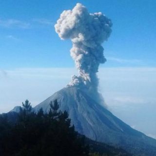 Volcán El Colima emite fumarolas, pero se encuentra tranquilo