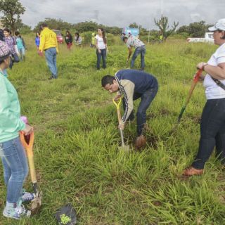 Extra reforesta hacienda de Tequila Patrón