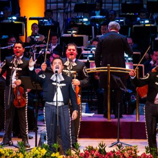 Mariachi para alegrar el alma