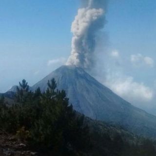 Volcán El Colima exhala material a mil 500 metros de altura