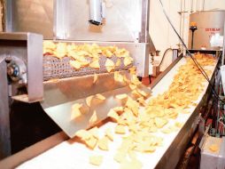 Tortilla. Producto estrella de Gruma. BLOOMBERG  /