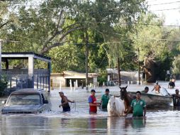 Se declaró emergencia para los muncipios de Guasave y Mocorito el pasado 19 de agosto, luego de que se registraran inundaciones. NTX / ARCHIVO
