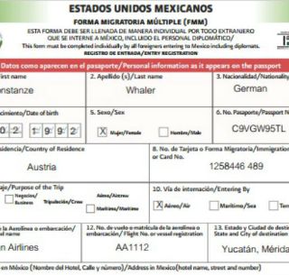 Nuevo Formato Migratorio Electronico Facilita Entrada A Mexico
