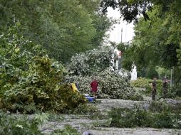 Las tormentas arrancaron centenares de árboles, destruyeron techos e inundaron viviendas. AFP / P. Pavani