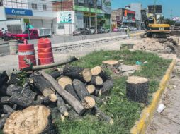 Magdalena Ruiz Mejía, titular de la Semadet, señala que solo falta la firma de Guadalajara para la publicación del documento. EL INFORMADOR / ARCHIVO