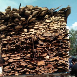 La PGR consigna a una persona por delito ambiental