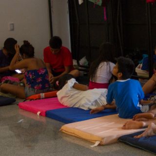 El PVEM presentará iniciativa para simplificar trámites de adopción