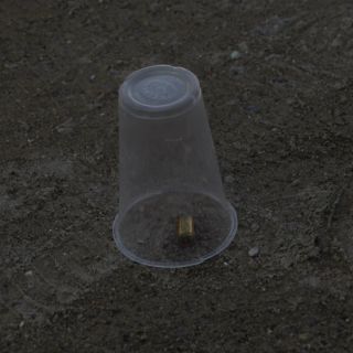 Asesinan a familia en BCS; entre víctimas hay dos menores