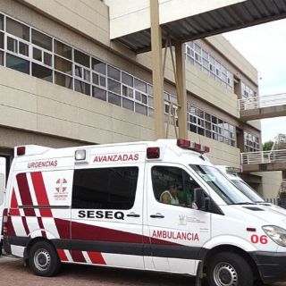 Perra alimentaba a niño desnutrido de dos años en Chile