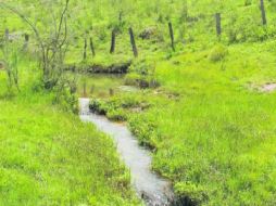 Tesoro natural. El arroyo el Candado se encuentra al suroeste del Cerro Puentecillas. EL INFORMADOR / V. García