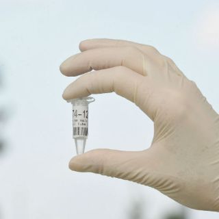 Arzobispo de Canterbury pide rechazar suicidio asistido