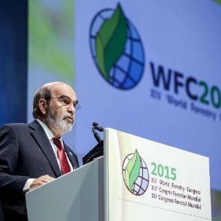 El mundo pierde una superficie de bosques del tamaño de Sudáfrica