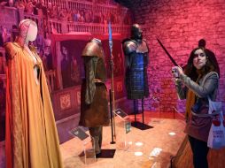 Más de 200 mil personas en todo el mundo han podido disfrutar de la exposición. AFP / L. Venance