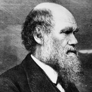 Carta de Charles Darwin será subastada