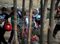 Por lo menos 480 mil refugiados palestinos permanecen en Siria, de los cuales más de la mitad han sido desplazados de sus campamentos. EFE / N. Bate