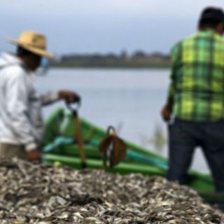 Investigadores de la UdeG denuncian acciones de Conagua