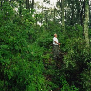 Lanzan plan global de cinco años para agua y bosques