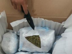 Un sensor canino detectó la droga. ESPECIAL /