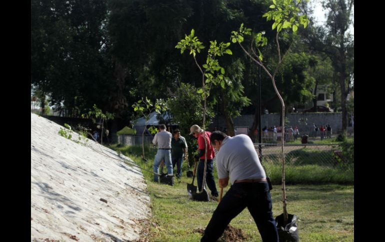 En la reforestación de esta mañana en el Parque Hundido participan autoridades del Ayuntamiento  Guadalajara, la SCT y de Siteur. EL INFORMADOR / A. Hinojosa
