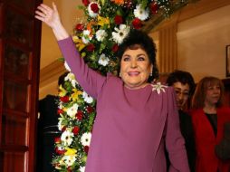 La actriz ha sido seriamente cuestionada por su capacidad como Diputada. NTX / ARCHIVO