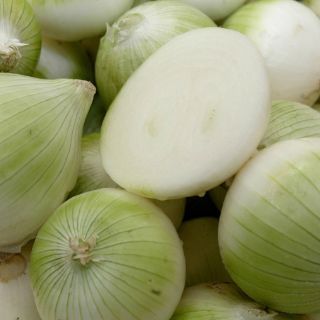 México liga superávit comercial agroalimentario por séptimo mes