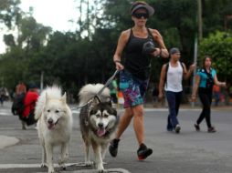 Usuarios podrán enviar una fotografía a través de la 'app' y hacer un comentario al respecto. EL INFORMADOR / ARCHIVO